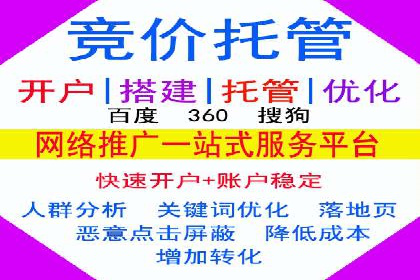 推广竞价实战经验：成功案例分享与启示